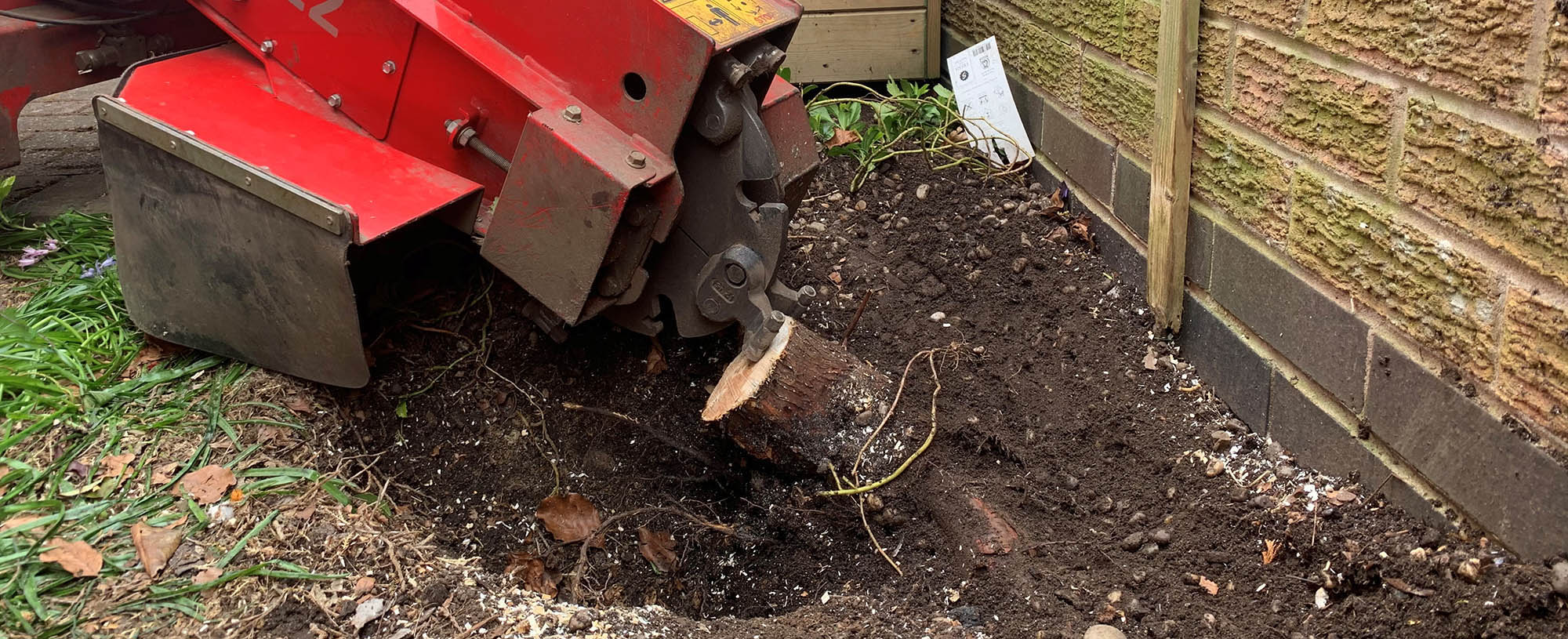 Tree Service Paris TX